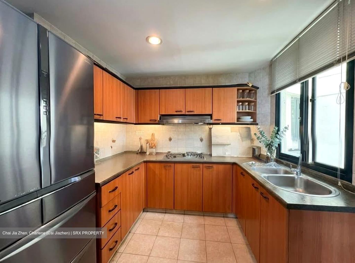 Simsville (D14), Condominium #551264651
